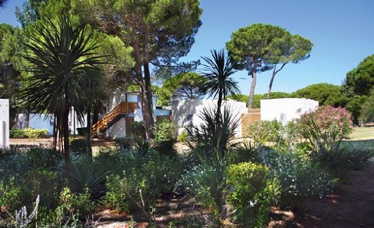 Séminaire entreprise en Camargue Presqu’île du Ponant